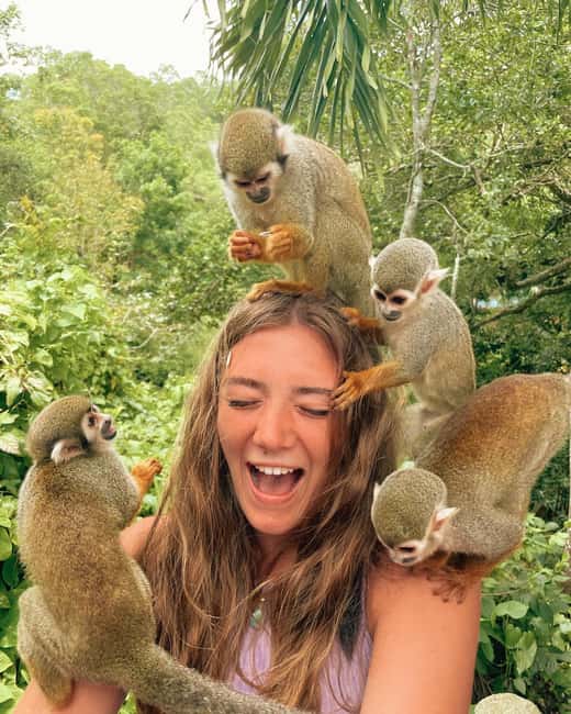 Monkey Encounter + ATV Riding Adventure – Puerto Plata - Meeting your guide at Taino Bay or Amber Cove