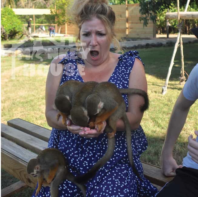 Monkey House VIP – An exclusive experience in Punta Cana - What Happens During the 150 Minutes