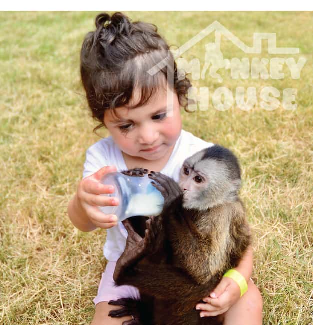 Monkey House VIP – An exclusive experience in Punta Cana - The Private Area Changes the Pace