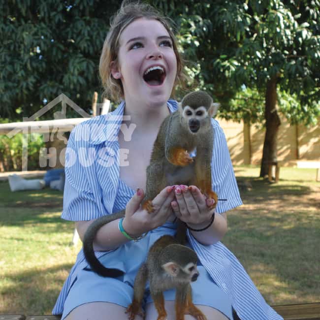 Monkey House VIP – An exclusive experience in Punta Cana - Why the Four Monkey Types Matter