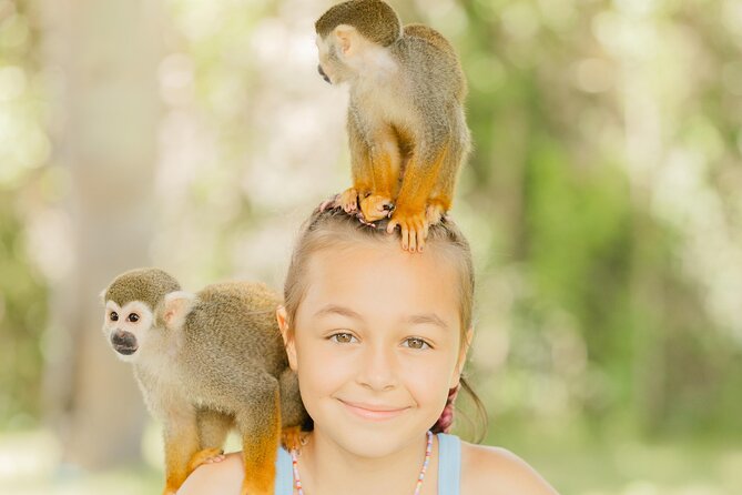 Monkey House VIP Experience with 4 species of monkeys, Punta Cana - Feeding, holding, and the chance of getting dirty