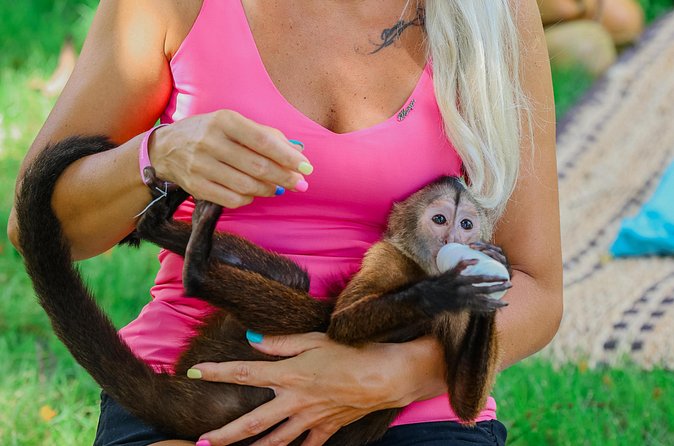 Monkey House VIP Experience with 4 species of monkeys, Punta Cana - The staff and the educational side