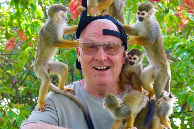 Monkey House VIP Experience with 4 species of monkeys, Punta Cana - What the 2.5-hour visit feels like