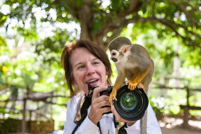 Monkeyland and Plantation Safari Tour from Punta Cana - Feeding the monkeys is the main event