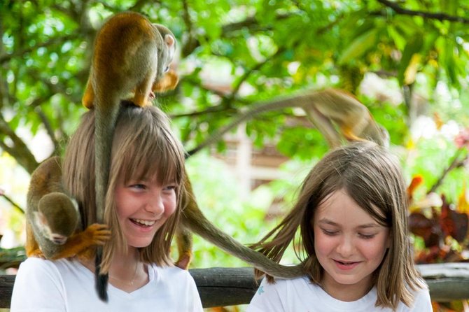 Monkeyland and Plantation Safari Tour from Punta Cana - Who will enjoy this most?