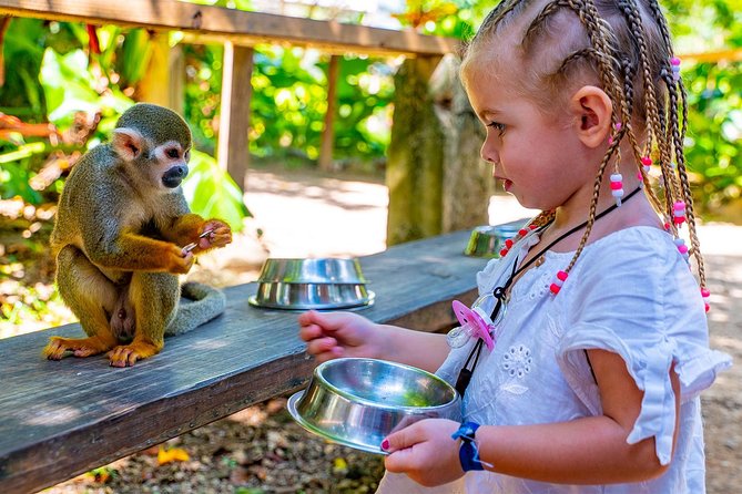 Monkeyland & Plantation Safari Full Day from Juan Dolio - A Monkey Encounter Tied to Dominican Farm Life