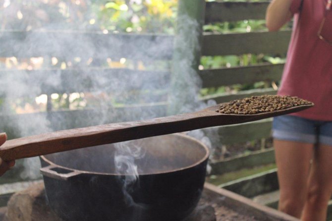 Monkeyland & Plantation Safari Full Day from Juan Dolio - The Juan Dolio Transfer Changes the Day