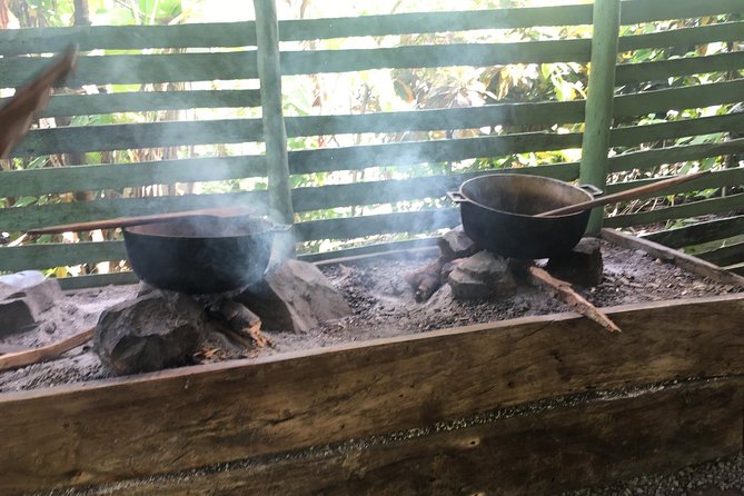 Monkeyland & Plantation Safari Full Day from Juan Dolio - Who Will Enjoy This Most