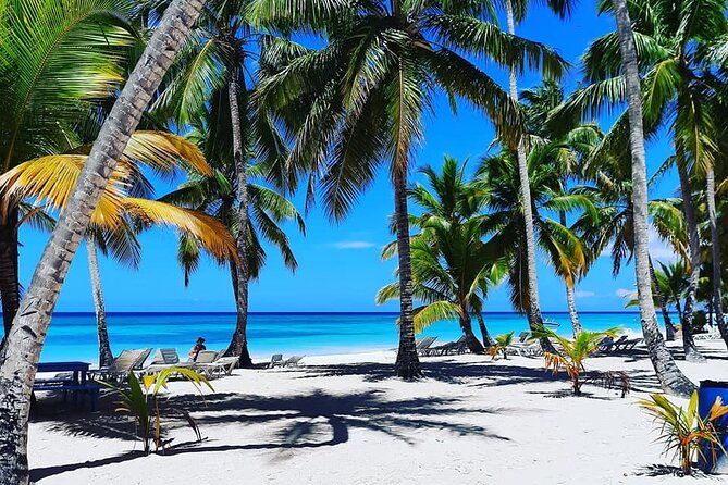 Ocean El Faro Resort - Round Trip Shuttle - Punta Cana Airport - Why a private airport ride helps at Ocean El Faro