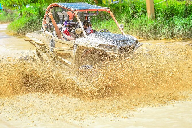 Off-Road Buggy Experience to Macao Beach, Hidden Cave and Mud Fun - A short taste of Dominican culture at the farm