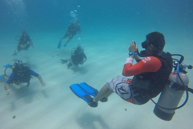 Open Water Diver - Bávaro - Four open-sea sessions, not just a resort tryout