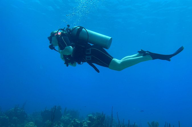 Open Water Diver - Bávaro - Pedro Marin, Alejandro, and the human side of instruction