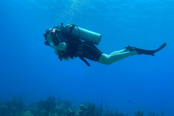 Open Water Diver - Bávaro - Who should book this course