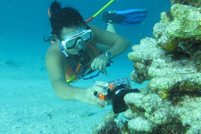 PACKAGE DEAL Catamaran- Snorkeling - Hooka Diving - Parasailing - What $140 buys you in Punta Cana