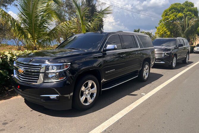 Paradise on Wheels: Suburban Premiere in Punta Cana - Round Trip - What the private vehicle changes