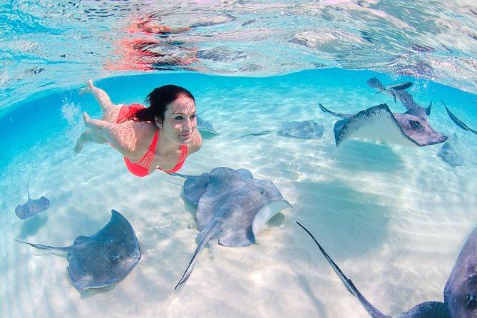 Parasailing, Snorkel Cruise & Virgen Beach from Punta Cana - Transportation and the afternoon schedule