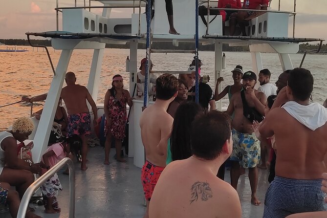 Party Boat / Booze Cruise and Snorkeling - Open Bar - Dolphins and marine sharks from the boat