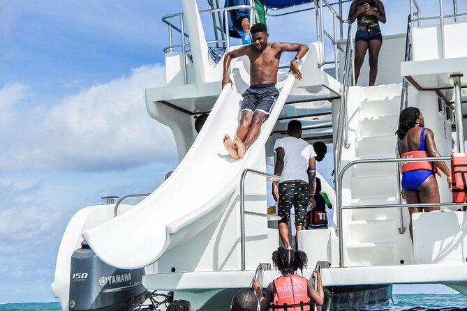 Party Boat Catamaran with Snorkeling from Punta Cana - Dolphin viewing from a distance