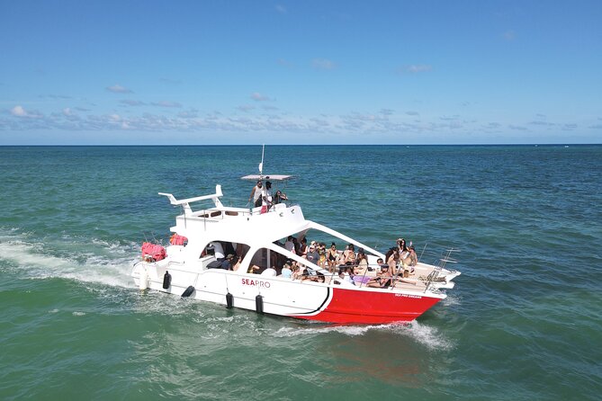 Party Boat Cruise from Punta Cana - Cruising along Bavaro Beach