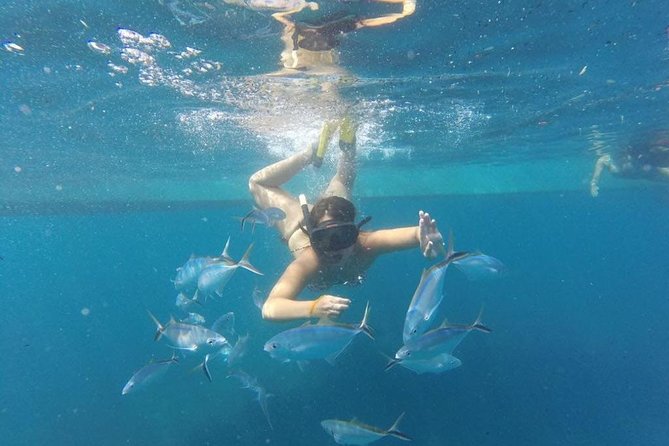 Party boat in Catamaran with Open Bar Only Adults + Snorkeling - Is $52.25 a Fair Price?
