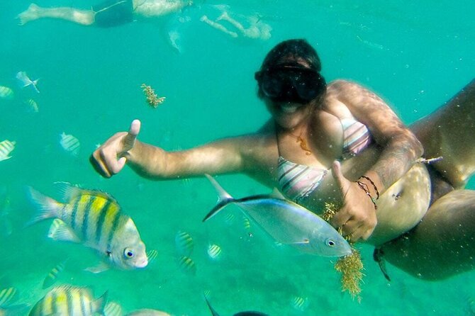 Party Boat - Private groups, snorkeling - Open Bar. - Natural pool, sandbar, music, and dancing