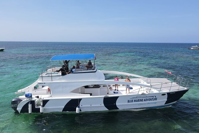 Party Boat - Private groups, snorkeling - Open Bar. - Timing, weather, and cancellation details