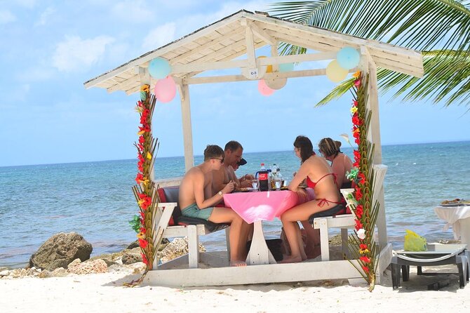 Perfect Day at Saona Island by Speedboat - Completely Private - Is $450 per person fair value?