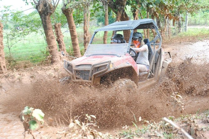 Platinum Buggy Adventure - What the Four to Five Hours Look Like