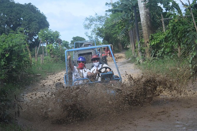 Platinum Buggy Adventure - Is $65 a Fair Price?
