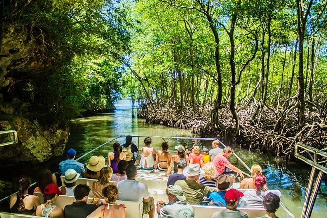 PRIVATE: 3in1 - Los Haitises N.P. + Y. Waterfall + Mount. Redonda - Key points at a glance