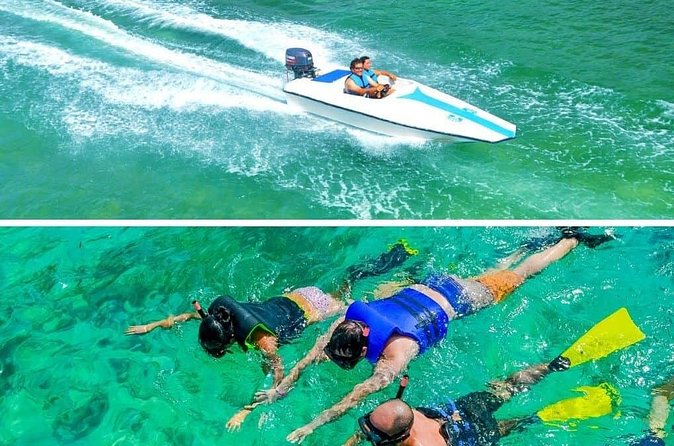 Private Activity Speedboat Ride and Snorkeling in Punta Cana - Who will enjoy this Punta Cana outing most