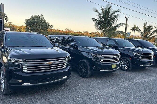 Private Airport Transfer from Punta Cana safety & Comfort - Who should book this transfer?