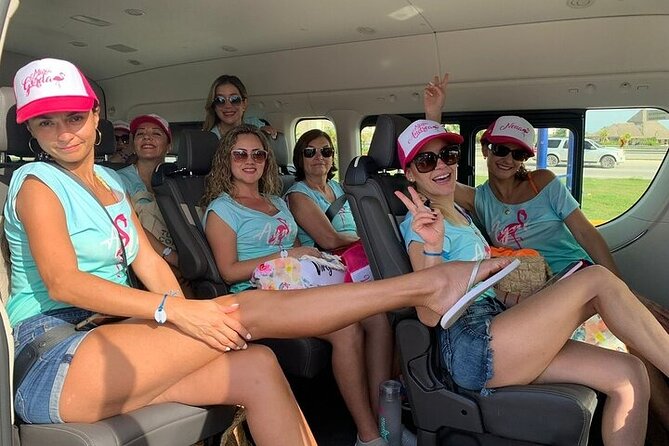 Private Airport Transfer to or from Uvero Alto and Punta Cana - Why private transport can be worth $29