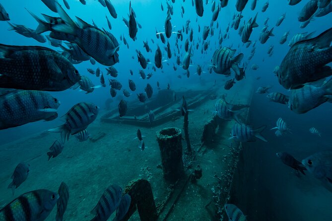 Private Bayahibe 3 Tank Diving with Lunch from Punta Cana - Getting fitted in Bayahibe