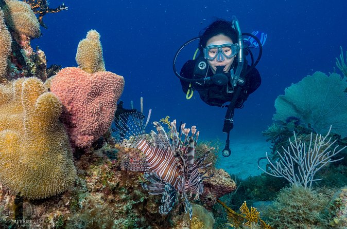 Private Bayahibe 3 Tank Diving with Lunch from Punta Cana - Should you book the Bayahibe three-tank trip?
