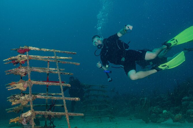 Private Bayahibe 3 Tank Diving with Lunch from Punta Cana - Two morning descents, then a seaside lunch