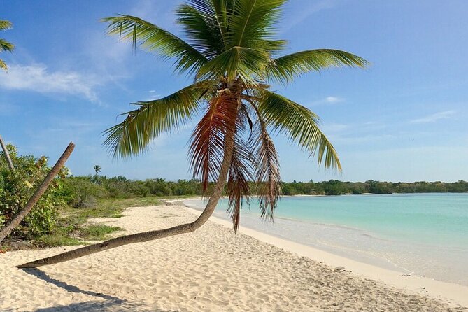 Private Boat Nature Tour of Saona Island - Is $345 per person a fair price?