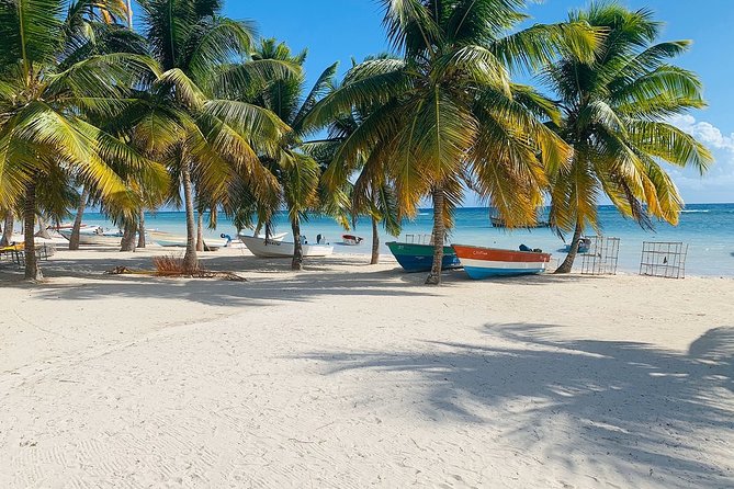 Private Boat Nature Tour of Saona Island - Should you book the Private Boat Nature Tour of Saona Island?