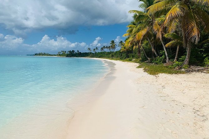 Private Boat Nature Tour of Saona Island - Four hours around Saona Island