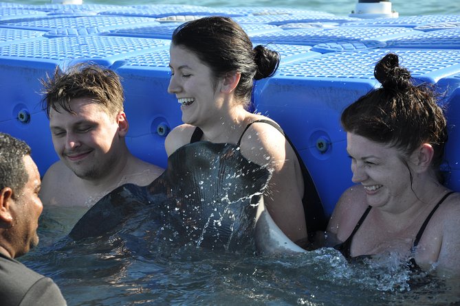 Private Caribbean Snorkeling Cruise At Punta Cana & Sharks, Stingray Encounter - Who will get the most from this excursion
