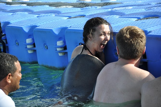 Private Caribbean Snorkeling Cruise At Punta Cana & Sharks, Stingray Encounter - Snorkeling at Bavaro Beach