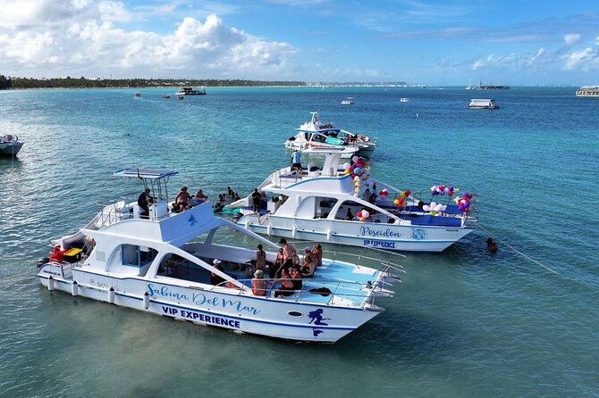 Private Cruise with BBQ - Slide And Open Bar - A Private Punta Cana Boat Party, Not A Quiet Sail