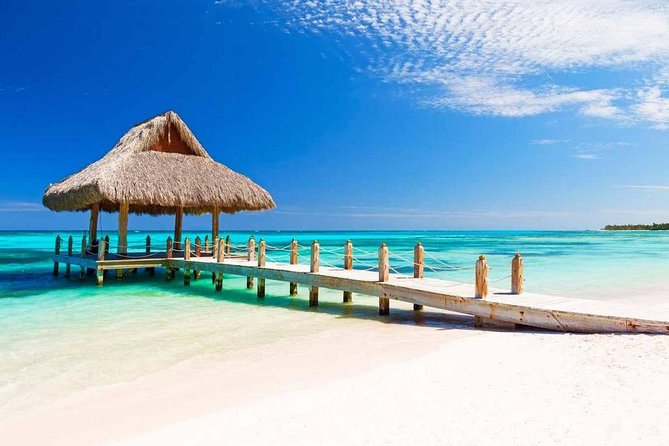 Private Departure Transfer from Punta Cana to Punta Cana airport (PUJ) - Booking timing and cancellation rules