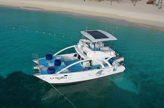 Private Full Day Charter to Saona Island from Punta Cana - Peñon Reef for turtles and stingrays