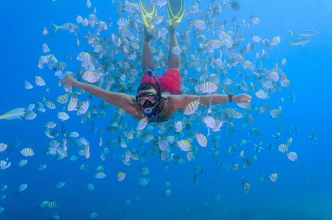 Private Full Day Charter to Saona Island from Punta Cana - Saona Island gives the day room to breathe