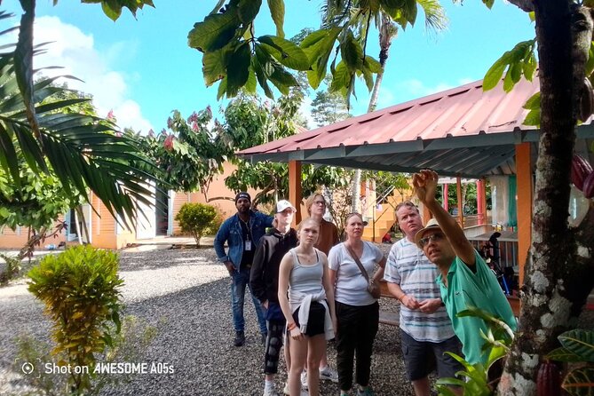 Private Half Day Tour in Dominican Republic with Local Guide - Why this half-day route works
