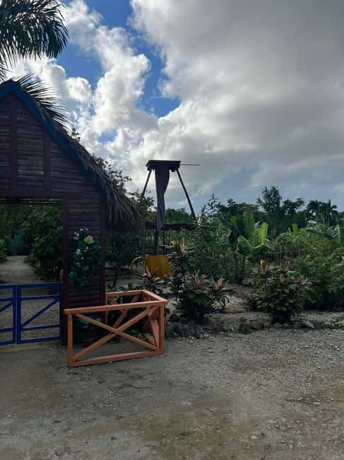 Private Half Day Tour in Punta Cana-Higüey with Local Guide - What the four-hour schedule feels like