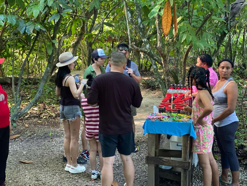 Private Half Day Tour in Punta Cana-Higüey with Local Guide - Pickup from Punta Cana and the road to Higüey
