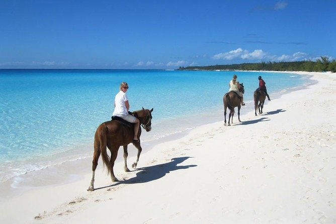 Private Macao Beach horseback riding in punta cana and Bayahibe - Key points to know before you book
