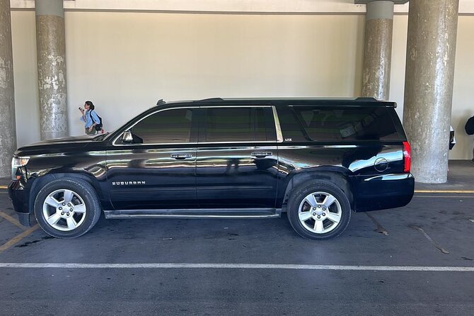 Private Punta Cana Luxury Car Transportation - Family and mobility considerations